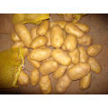 Высочайшее качество для экспорта свежего картофеля
